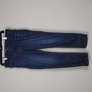 Anthro Pilcro and the letterpress Stet fit cropped ankle blue jeans